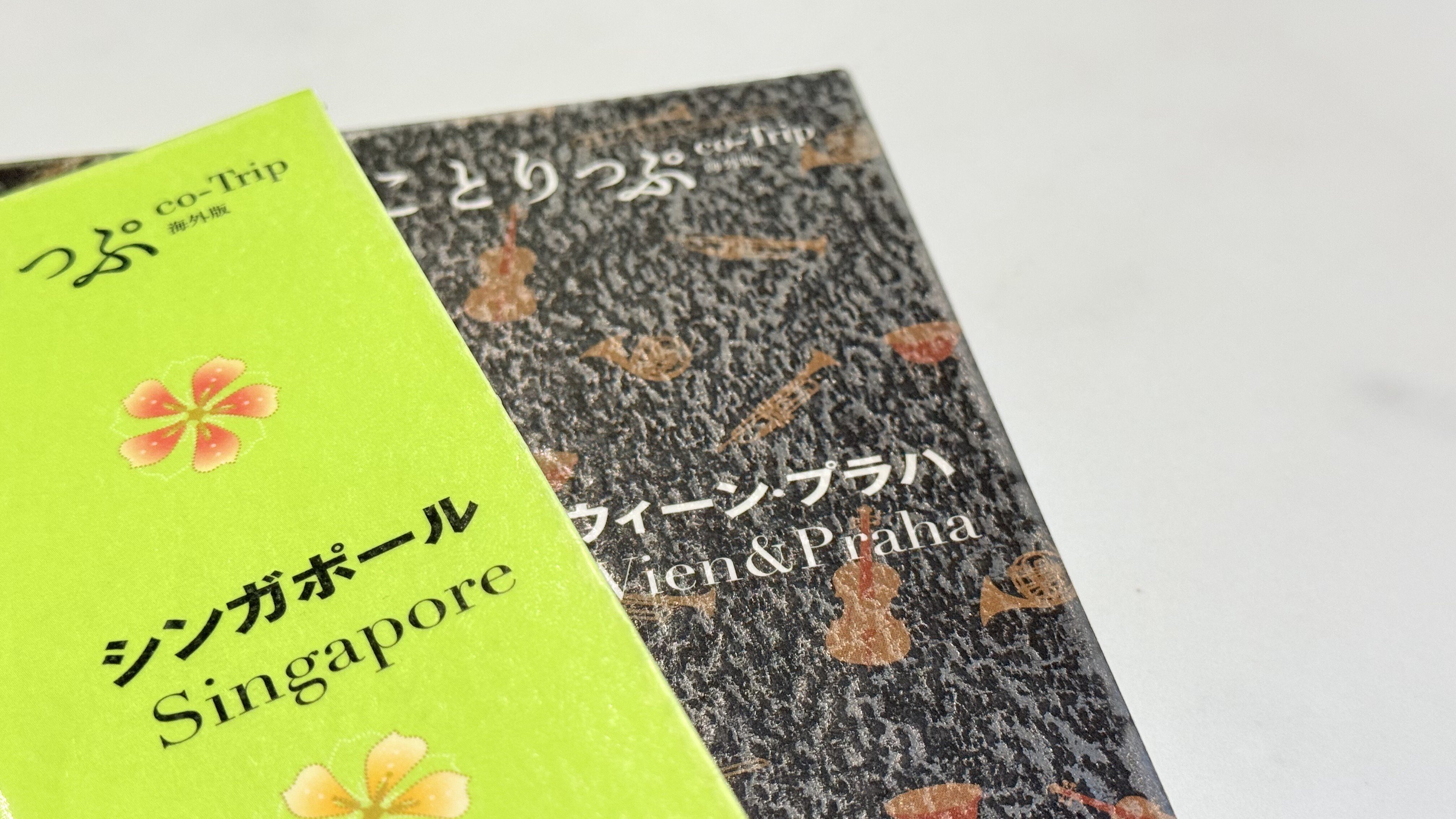 家族で世界一周】ガイドブックを図書館で借りてみた｜haruka｜ちゃん