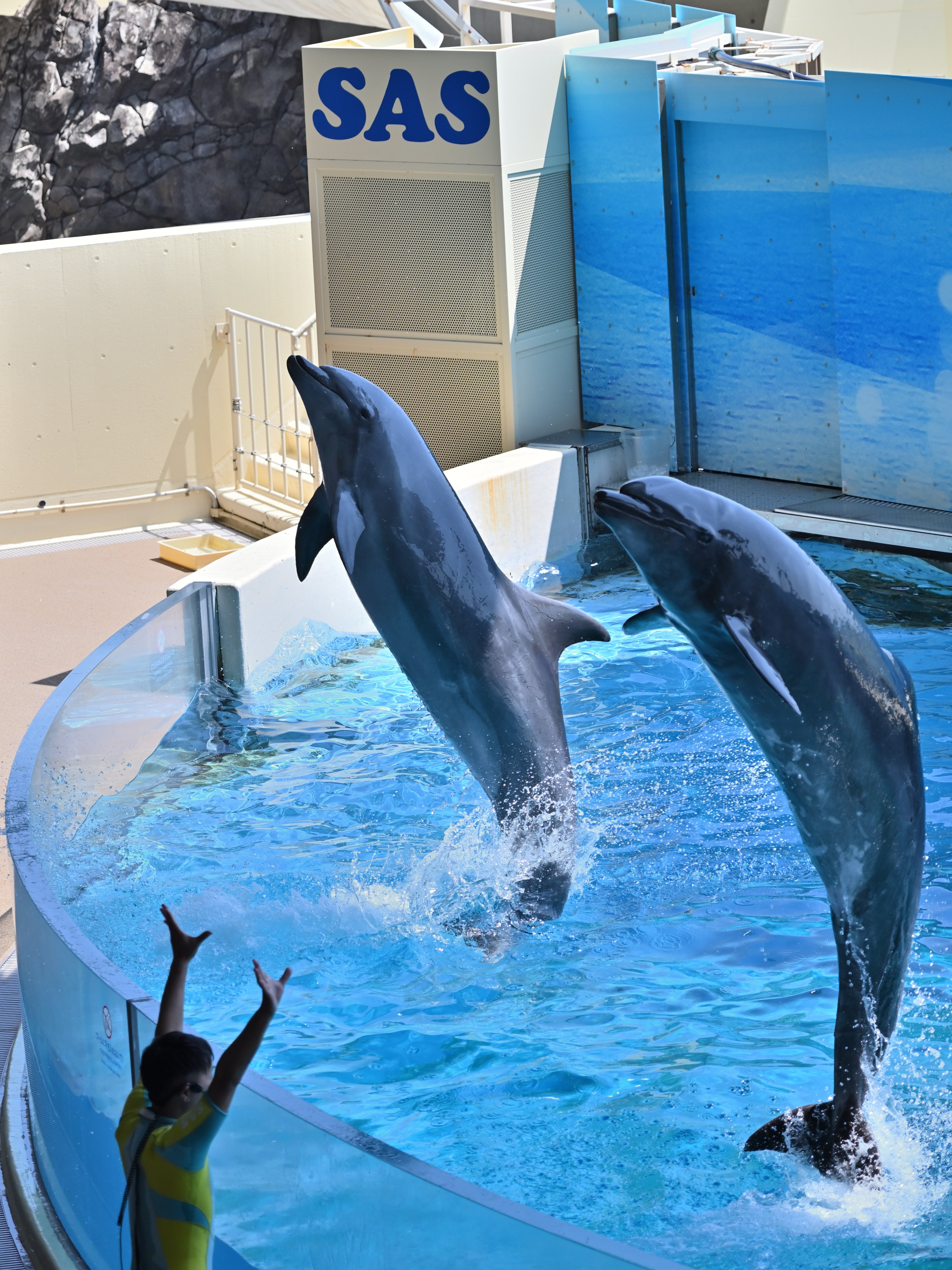 Nikon Z5の写真を蔵出ししてみる｜江の島スナップ｜newbiegrapher