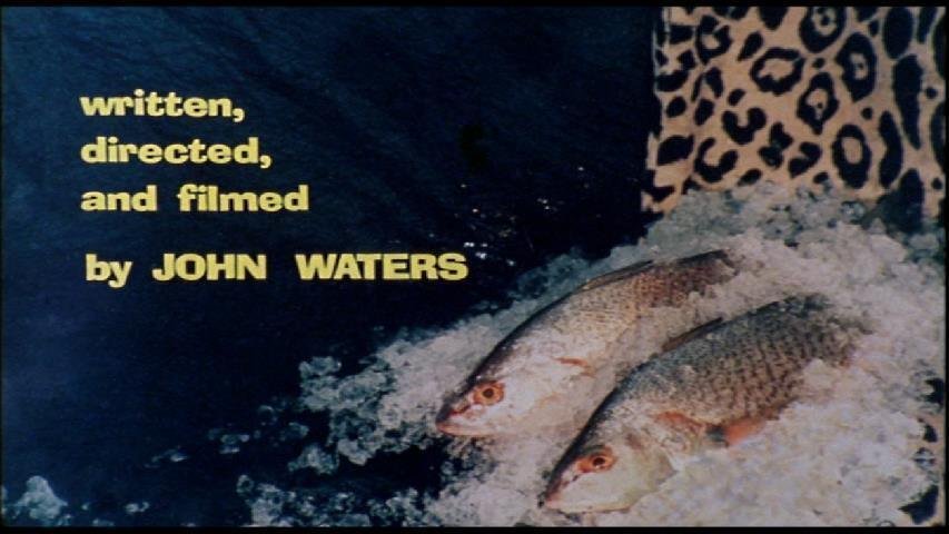 0093 ジョン・ウォーターズ監督『フィメール・トラブル』聖地巡礼