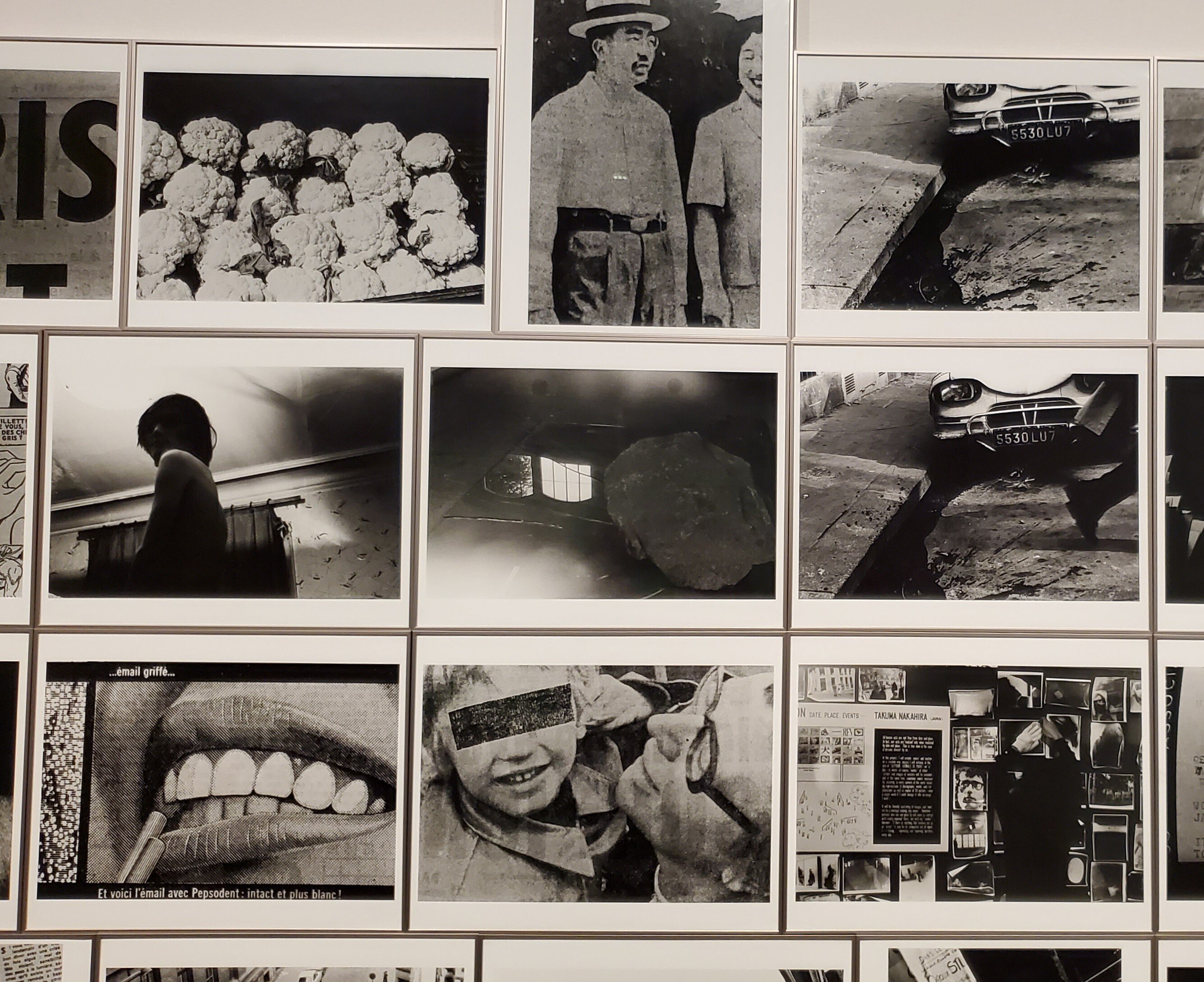 中平卓馬とその時代 #43｜iogimachi