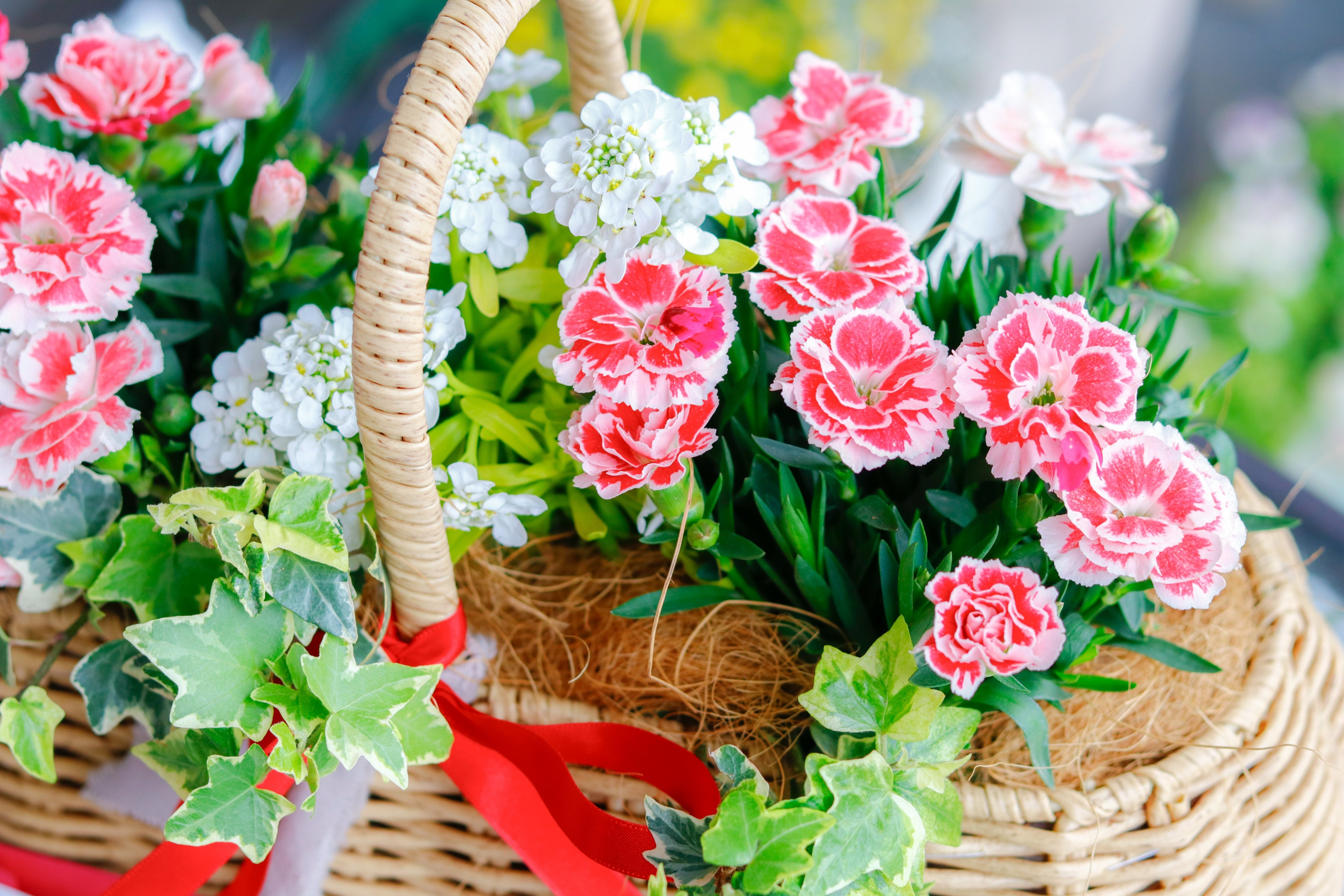 母の日に手作りの寄せ植えを｜Jasmin