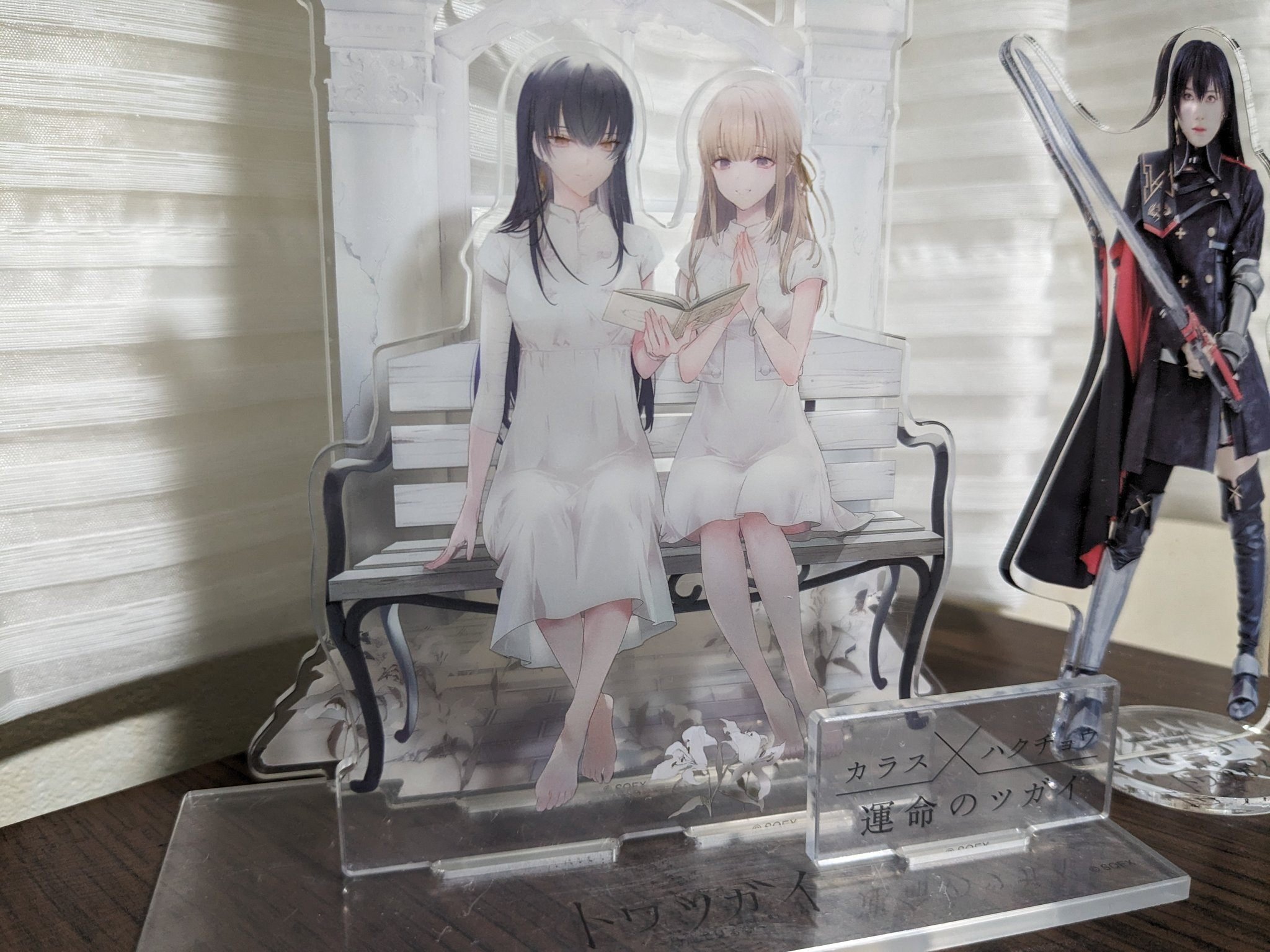 トワツガイコンサート2024 ～鳥籠で見る夢～」の思い出、のような