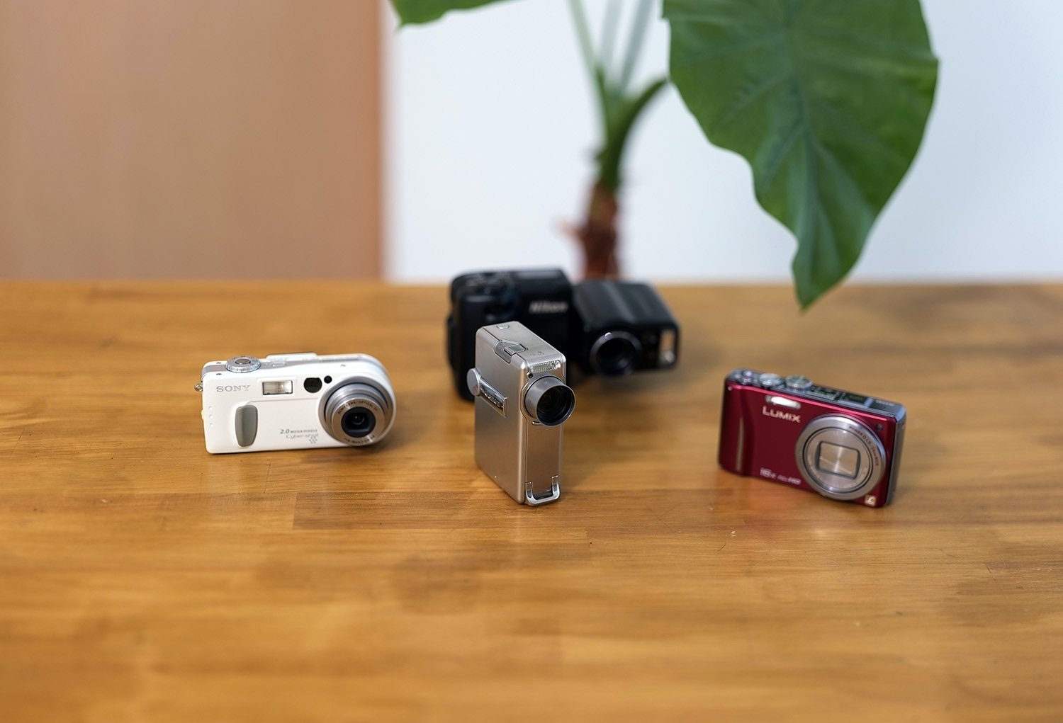 オールドデジカメの魅力。monologue_5｜のりしろ太郎