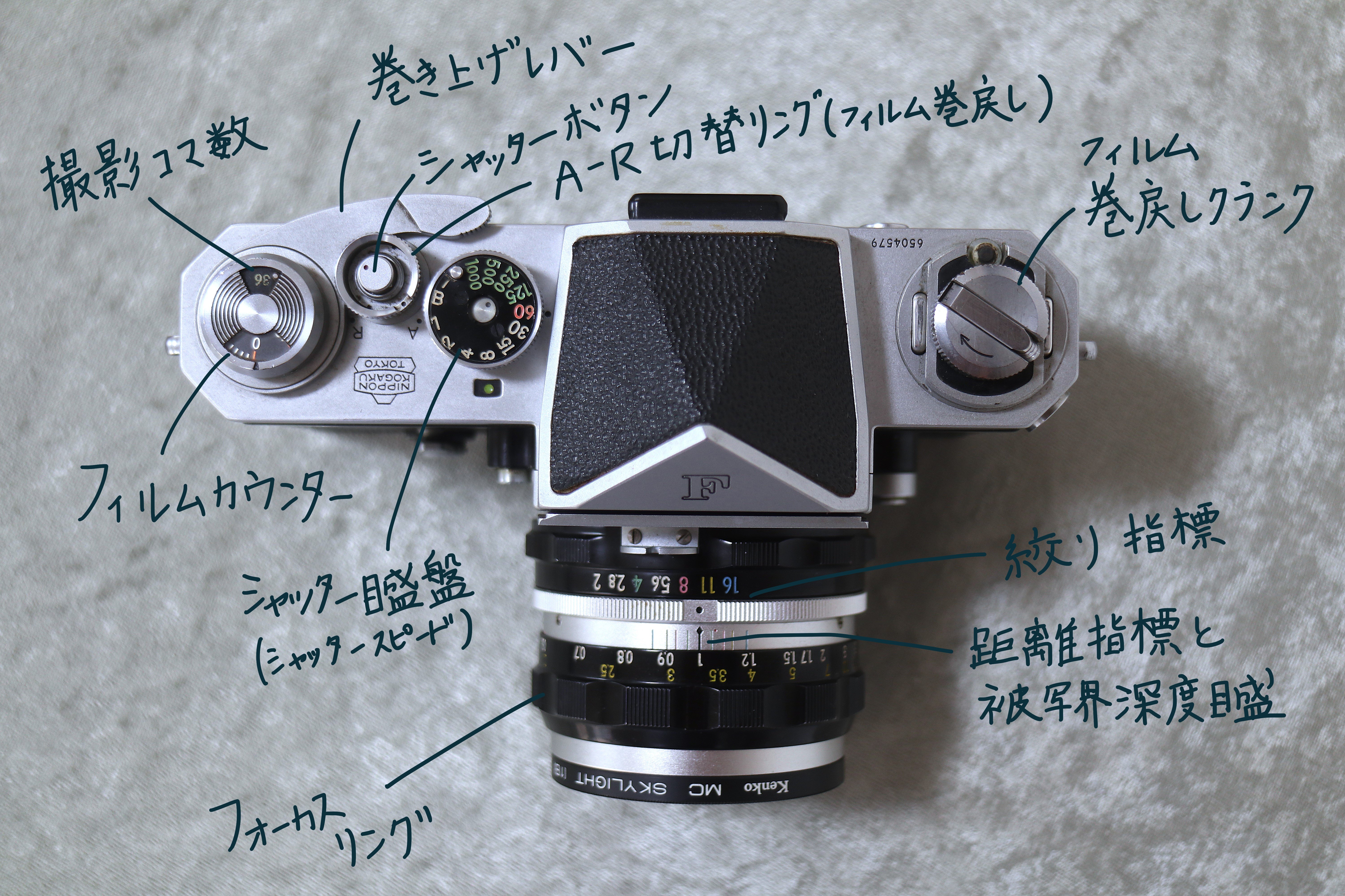 Nikon F の話 ：フィルムカメラであそぼう！｜にゃんかめ