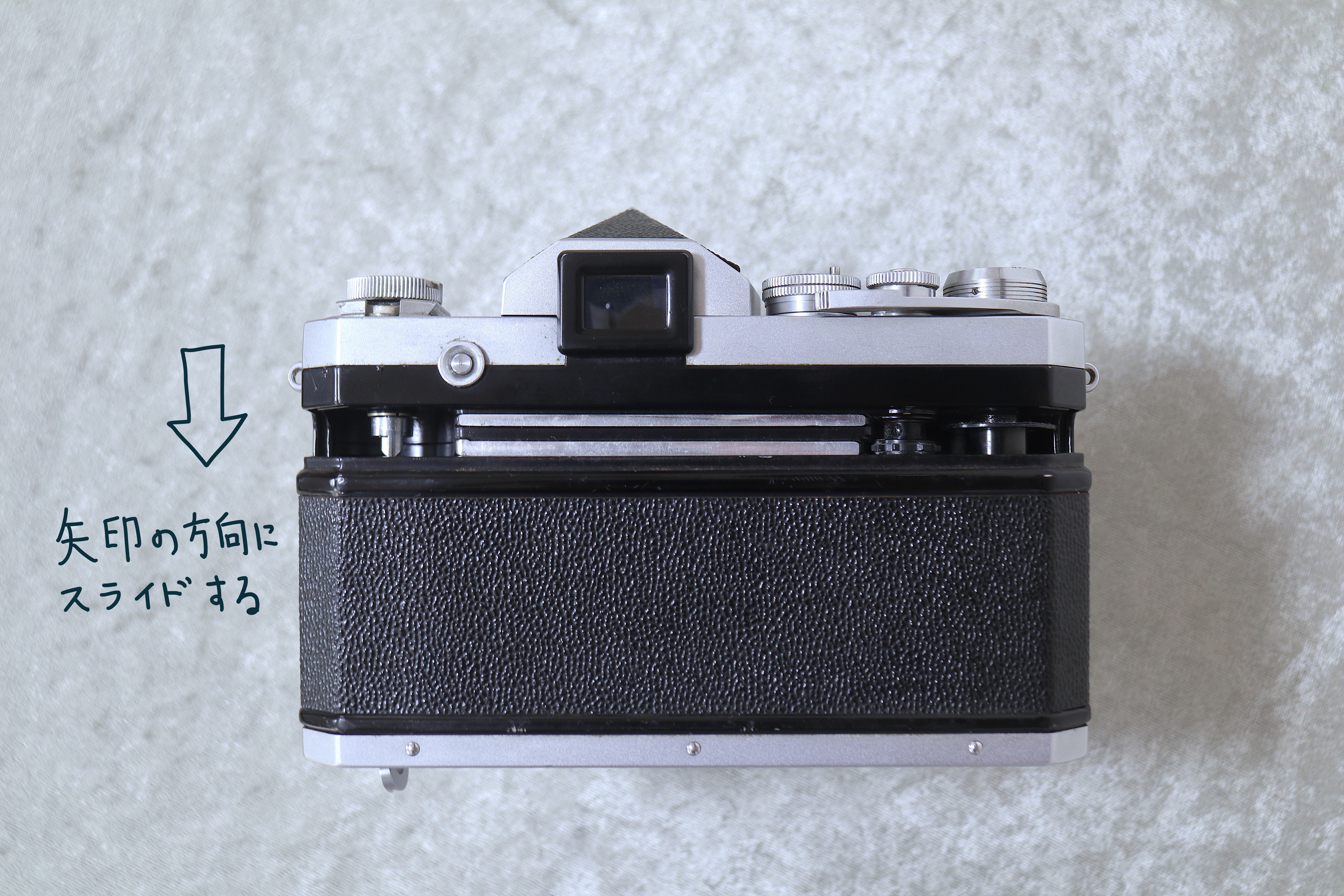 Nikon F の話 ：フィルムカメラであそぼう！｜にゃんかめ