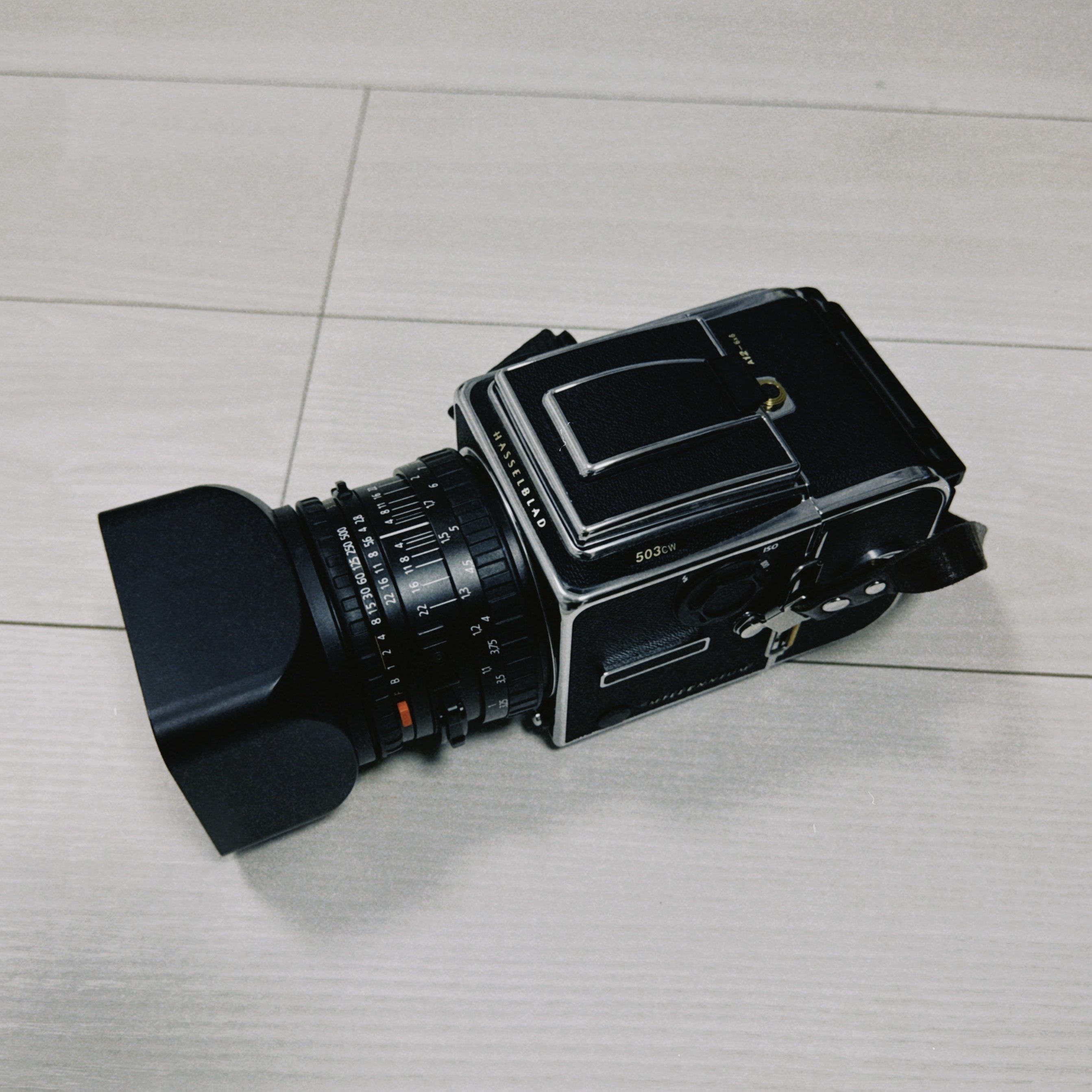 はじめてのHASSELBLAD503CW｜村田雄平