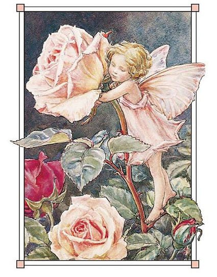 バラの妖精」｜zoo_shell