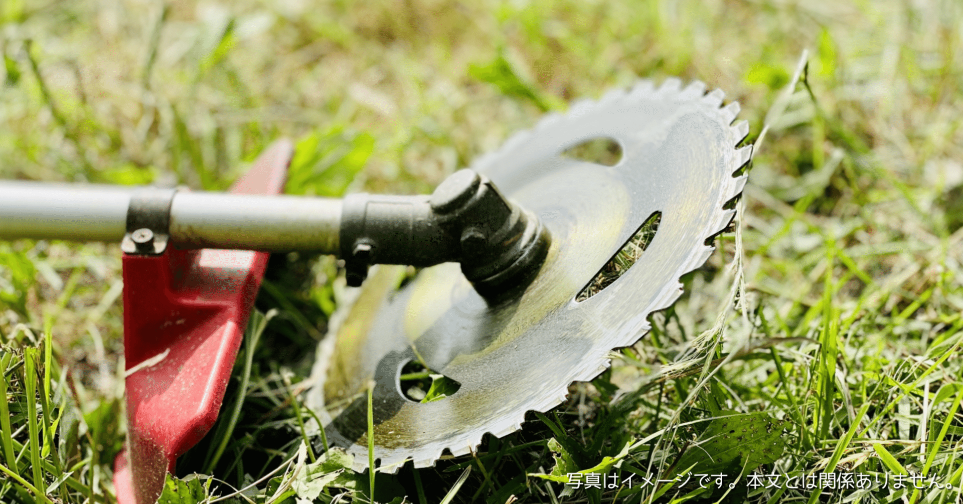 Louttyはどこの国のブランド？充電式草刈り機│コードレス バッテリー2