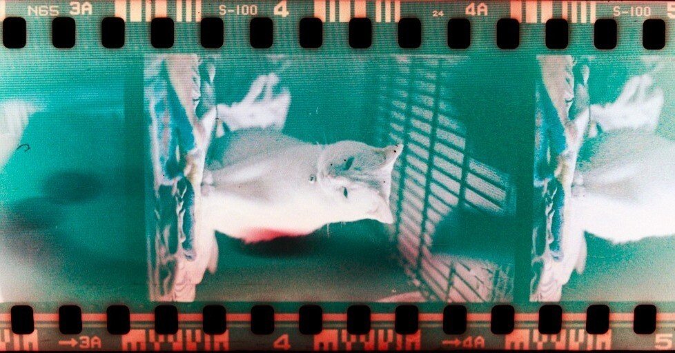 2802f402afa427f7b10751e07f76de