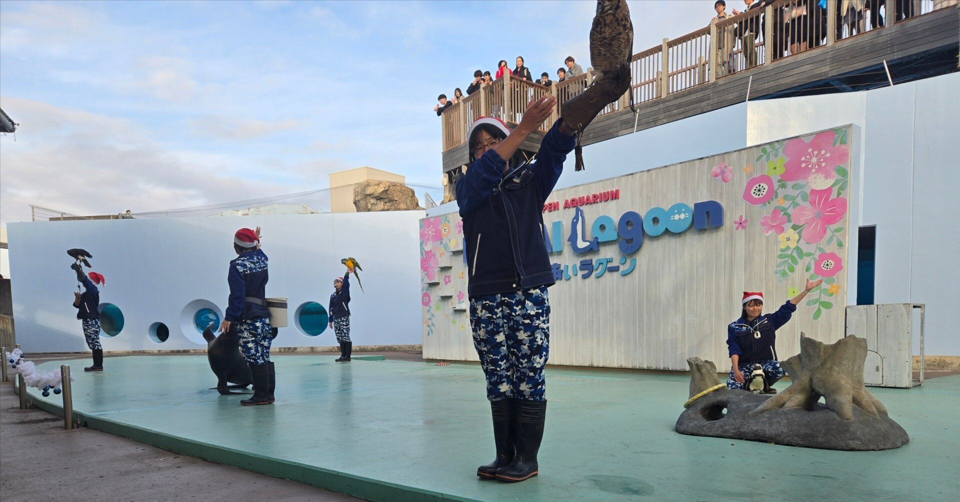 幼児連れにおすすめ！八景島シーパラダイスのふれあいラグーンで楽しむ