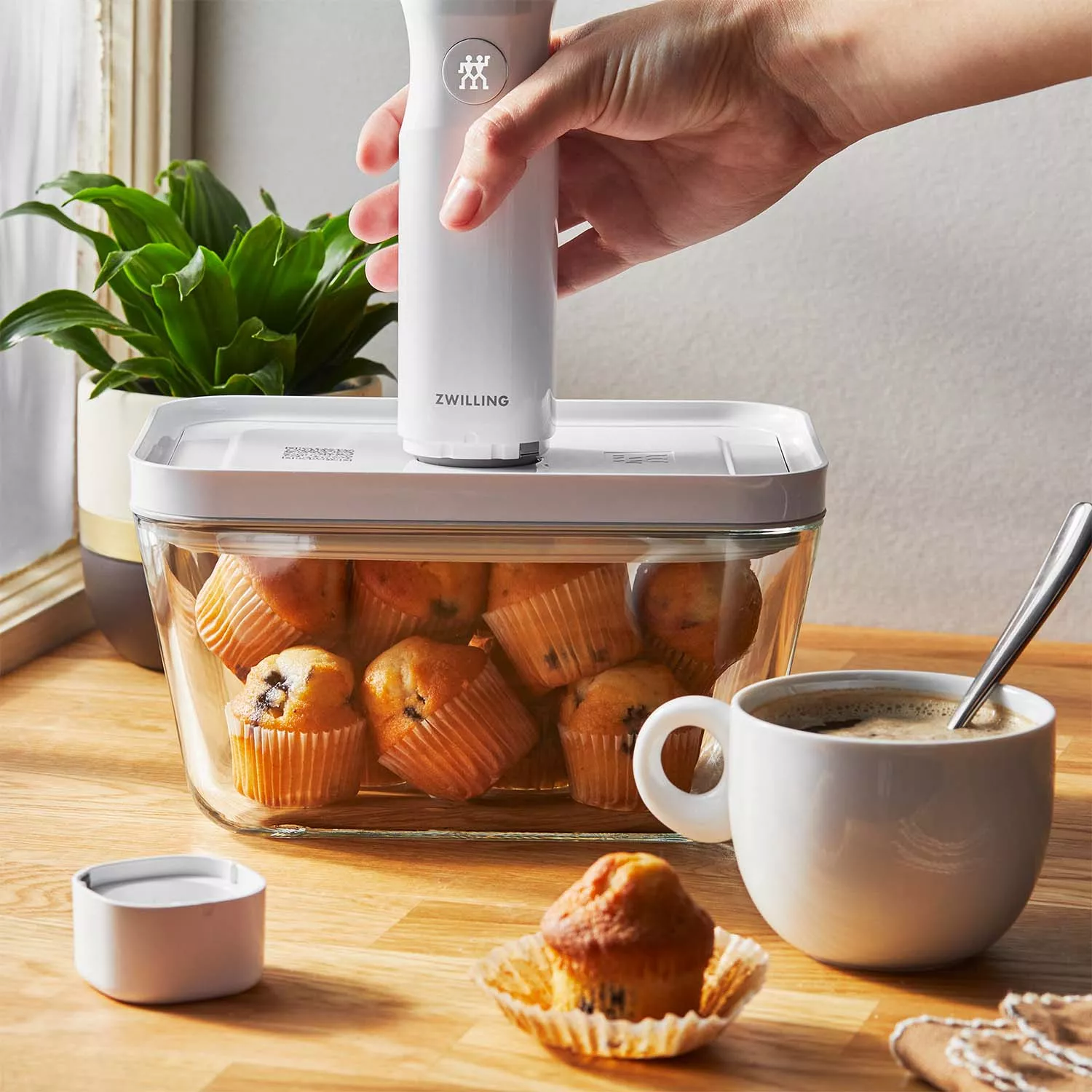 Zwilling Fresh & Save 7-piece Starter Set | Sur La Table