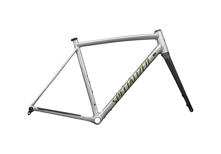 CRUX DSW FRAMESET BRSH/CMLNSNKEYE 52(52 サテンブラッシュドアルミ
