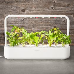 Click and Grow Smart Garden - 9-Pod | Williams Sonoma