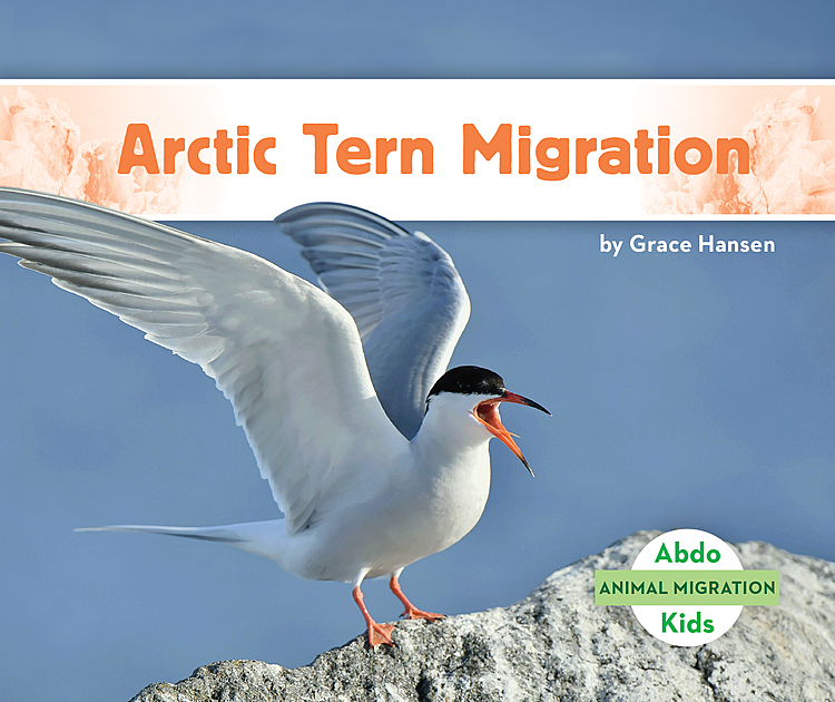 Arctic Tern Migration - ABDO Publishing Company