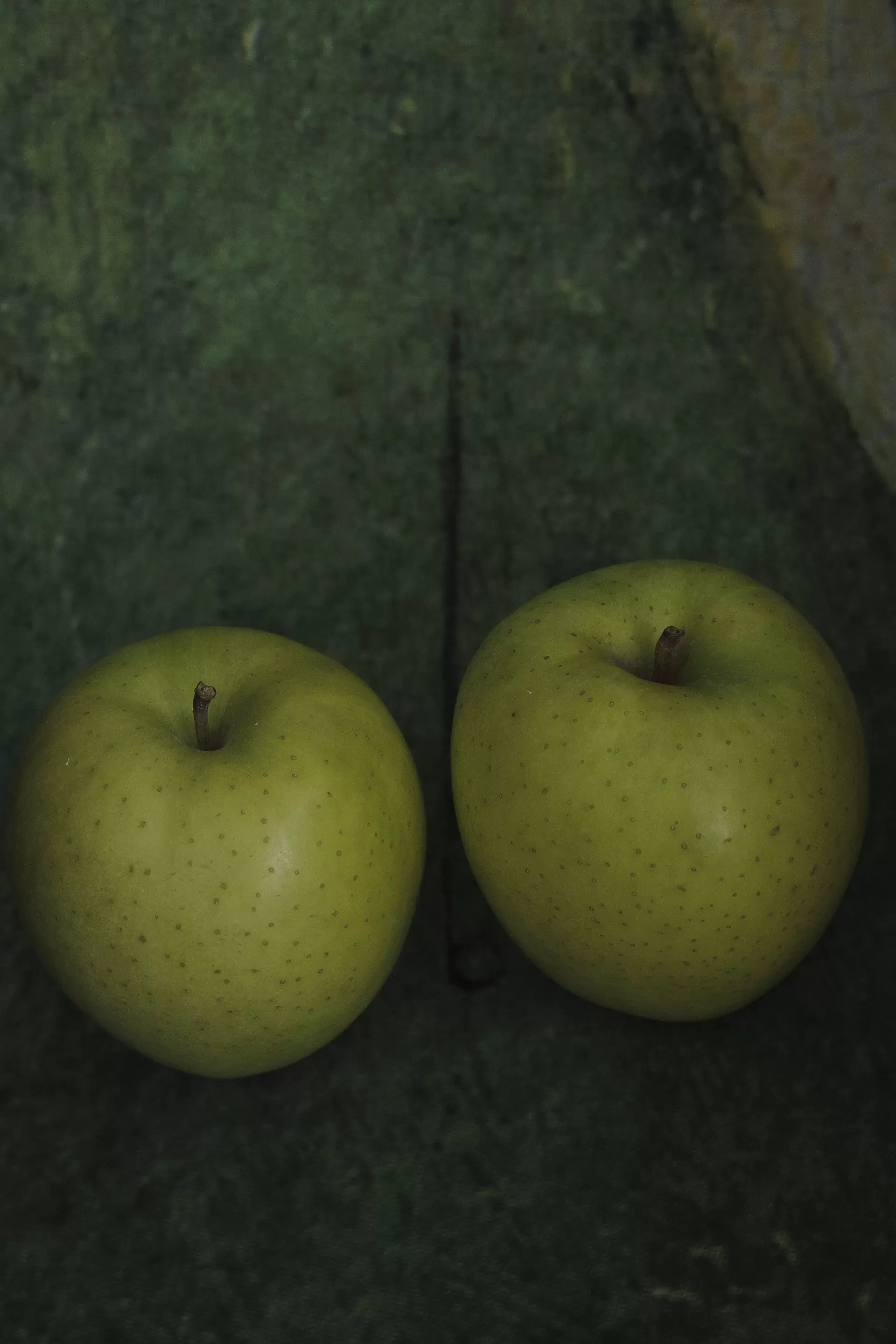 上田義彦展 | ArtSticker