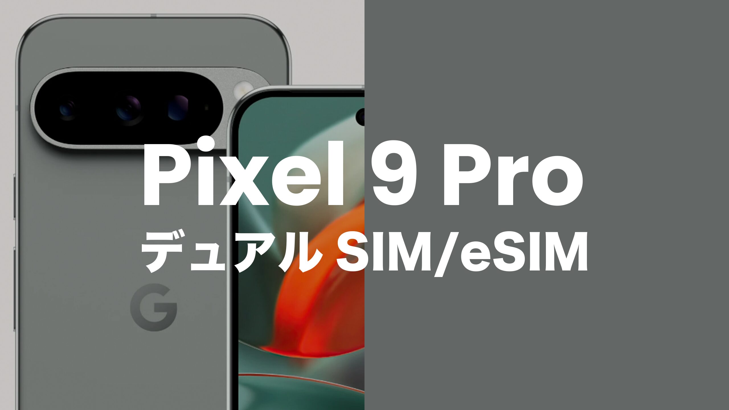Google Pixel 9 ProはデュアルSIM & eSIM機能対応。デュアルeSIMには非