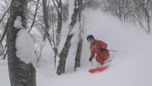 アルマダ・ゼロシリーズ | armadaskis.jp