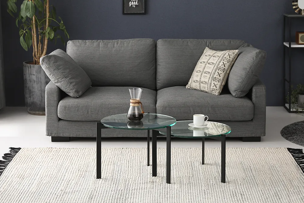 ブラックオーガニック形状センターテーブル【003】 ブラック