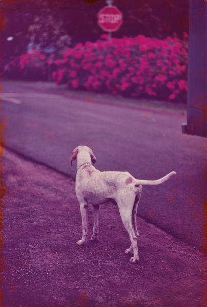 ときの忘れもの 植田正治 Shoji UEDA