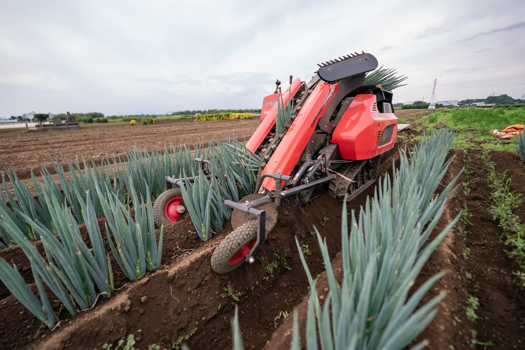 設備紹介｜荒⽥ファーム｜ネギ・枝豆・里芋の生産｜埼玉県所沢市