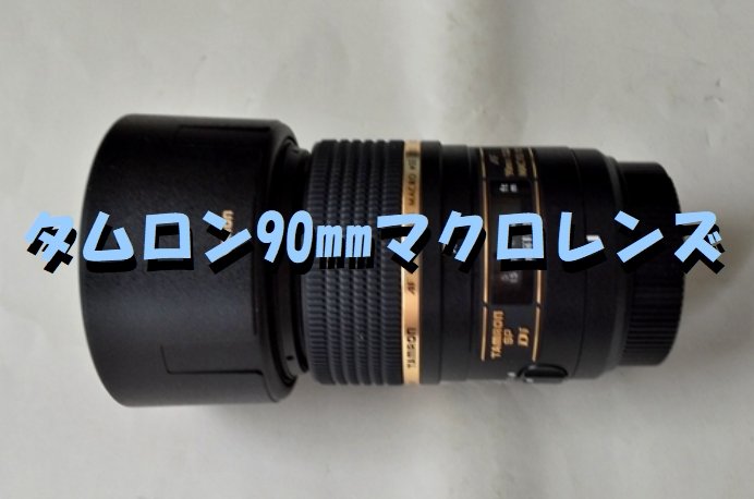 タムロン SP AF 90mm F/2.8 Di MACRO 【マクロレンズの世界】for Nikon