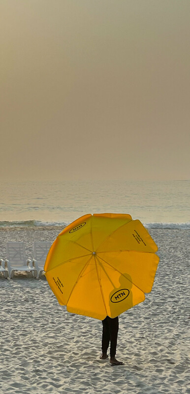 ARTWORLD - Anne-Sophie Soudoplatoff global 2026