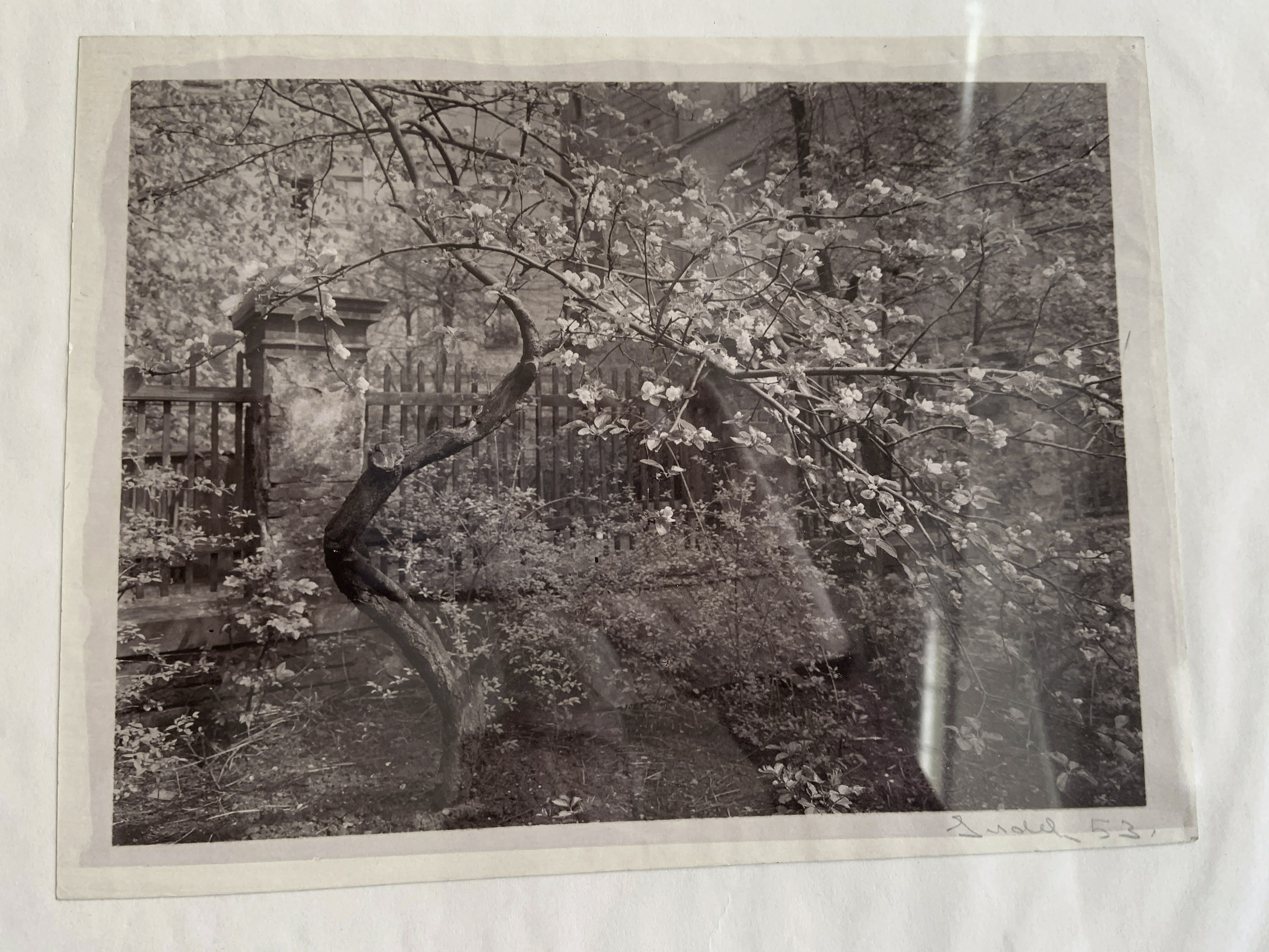 Josef Sudek archive at u(p)m The Museum of Decorative Arts, Prague