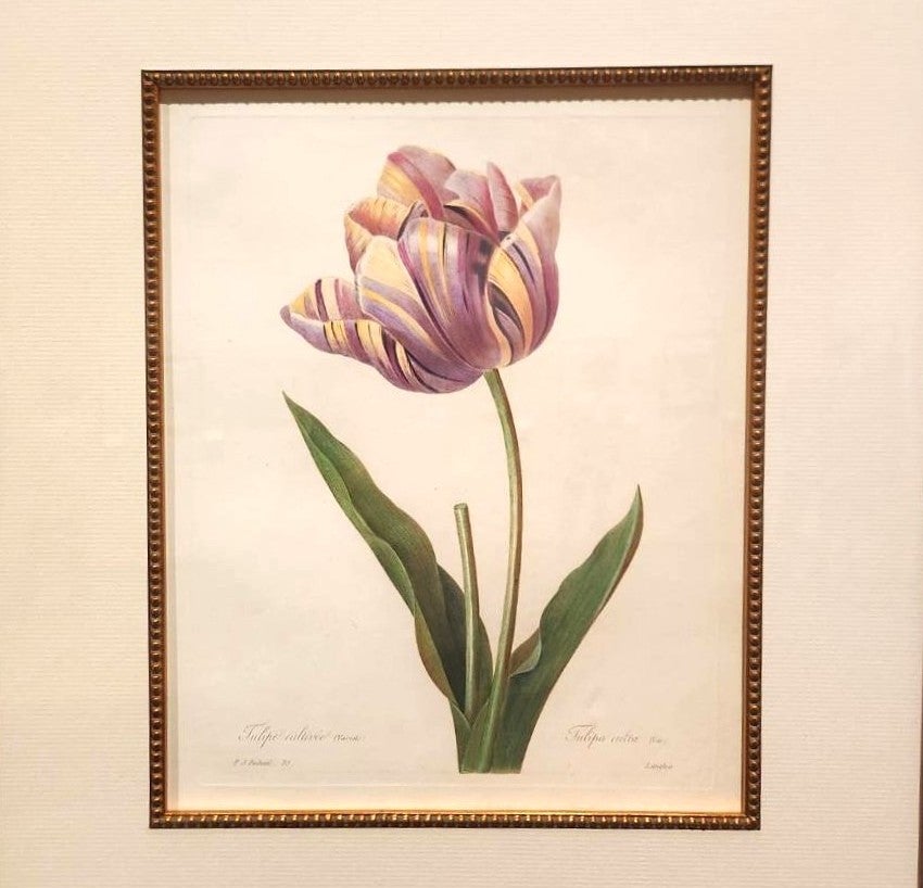 レポート】特別展「花の宮廷画家ルドゥーテ」下関市立美術館（山口）で