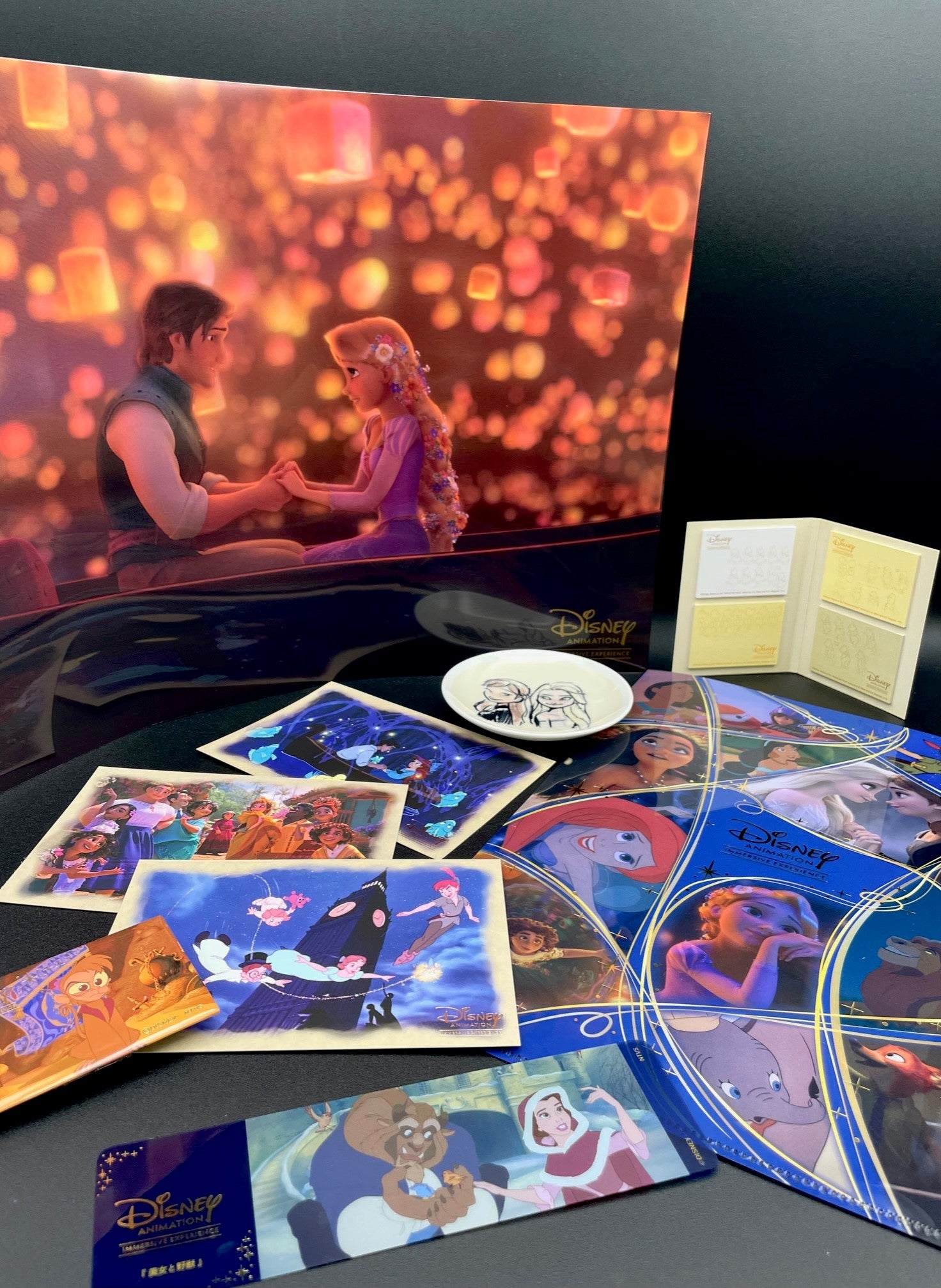 グッズ開封】「ディズニー・アニメーション・イマーシブ