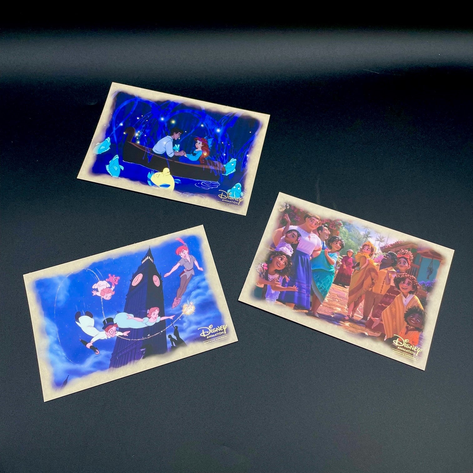 グッズ開封】「ディズニー・アニメーション・イマーシブ