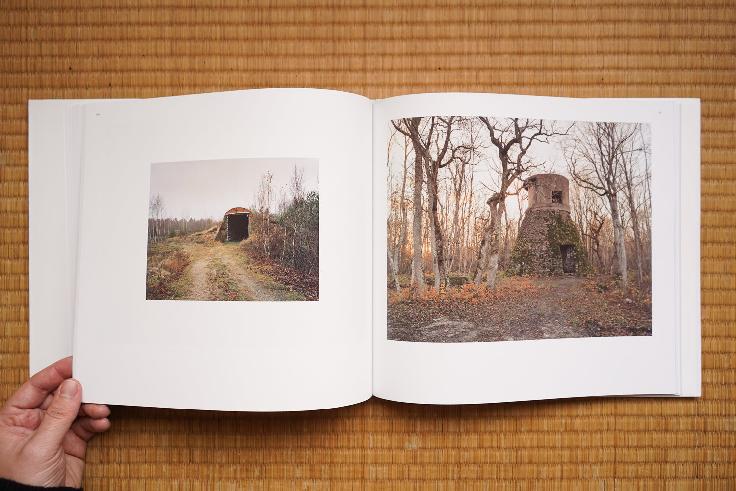 After the Thaw 雪解けのあとに – Tomoko Yoneda – Art Island Center