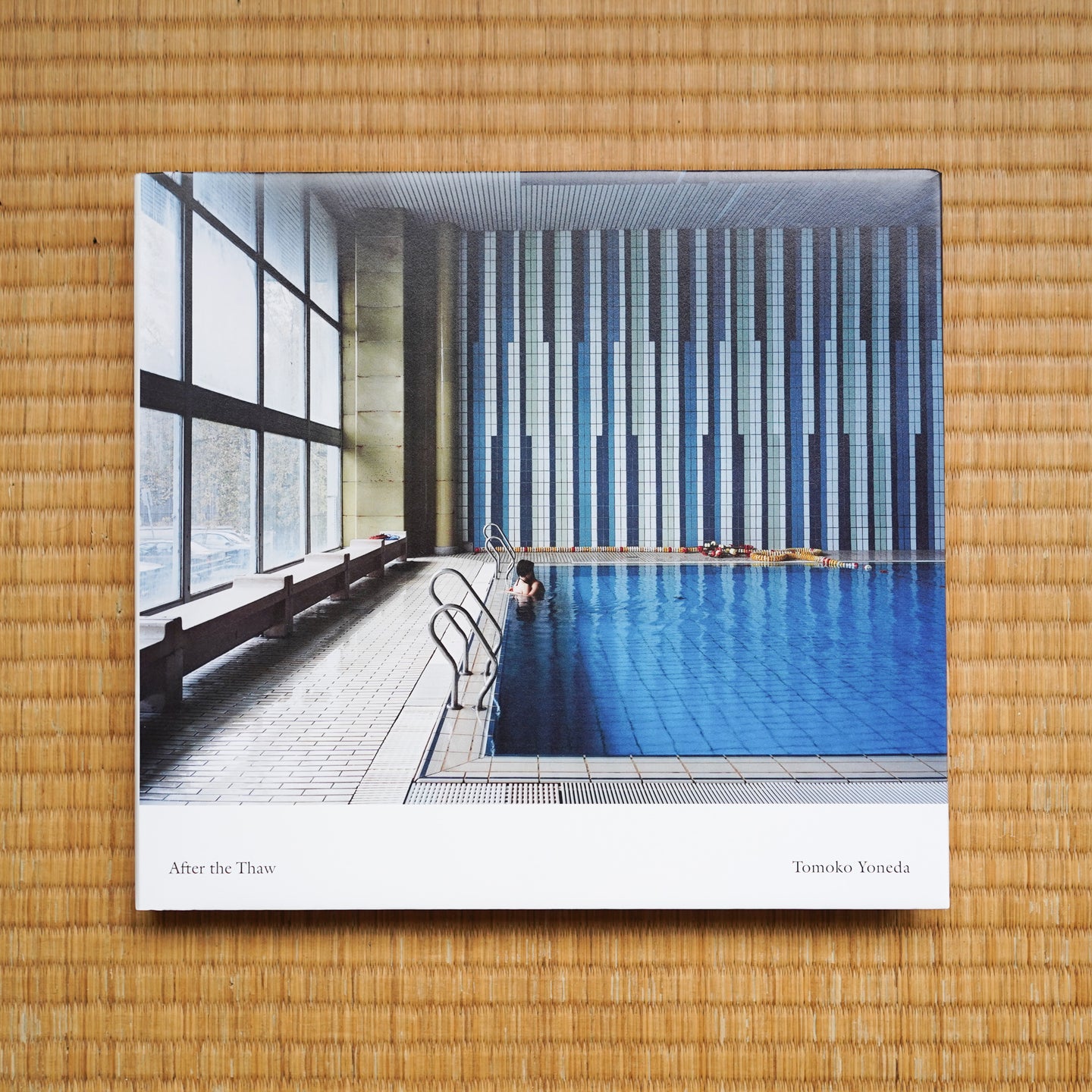 After the Thaw 雪解けのあとに – Tomoko Yoneda – Art Island Center