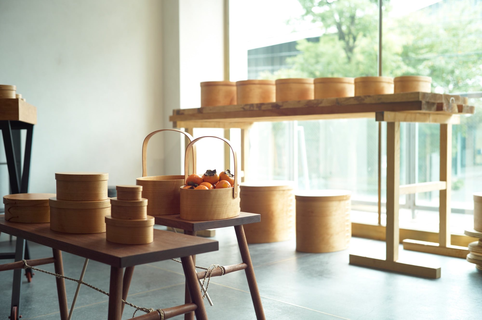 井藤昌志, 2014｜ARTS&SCIENCE