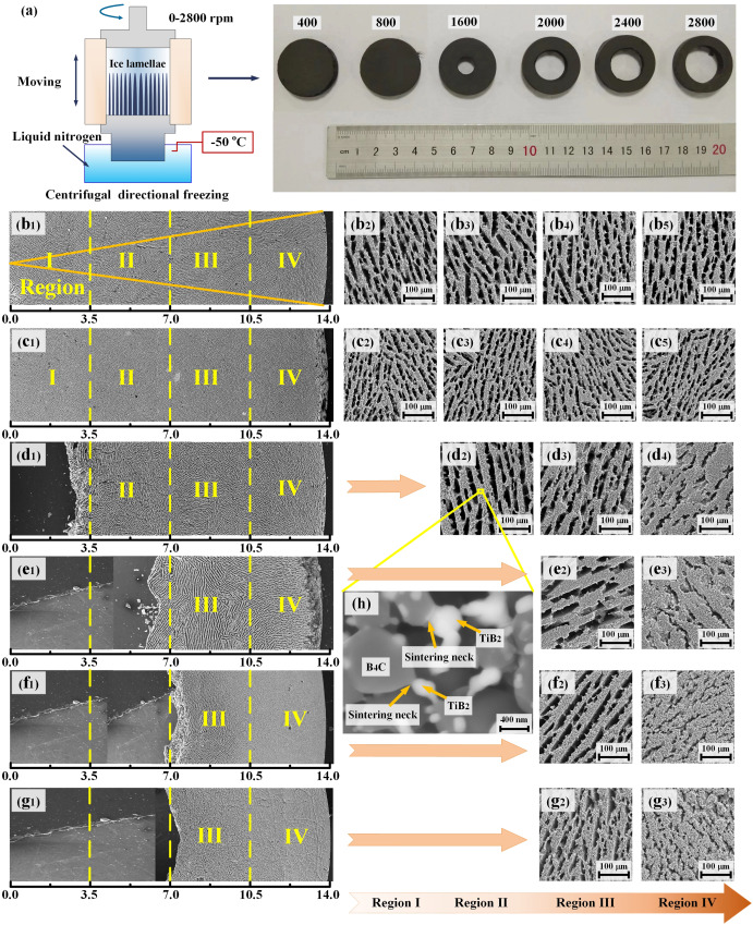 Centrifugal directional freezing and pressure infiltration