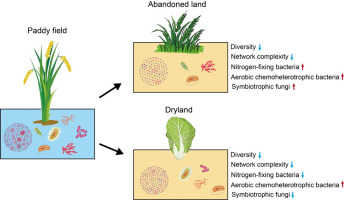 Soil microbial functional composition in response to planting