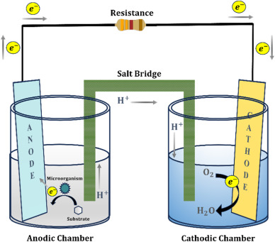 Recent novel approaches for enhancing the efficiency of microbial