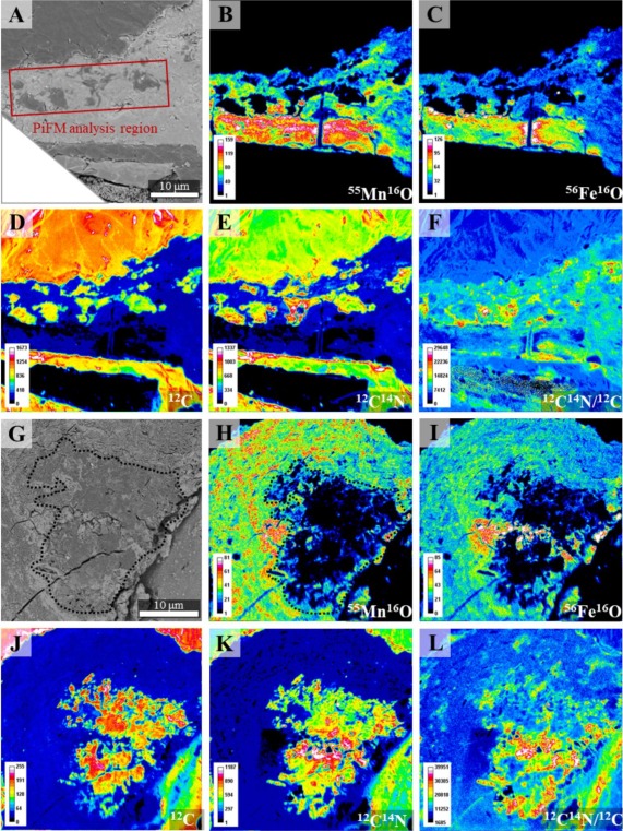 Formation and biogeochemical potential of ferromanganese oxide