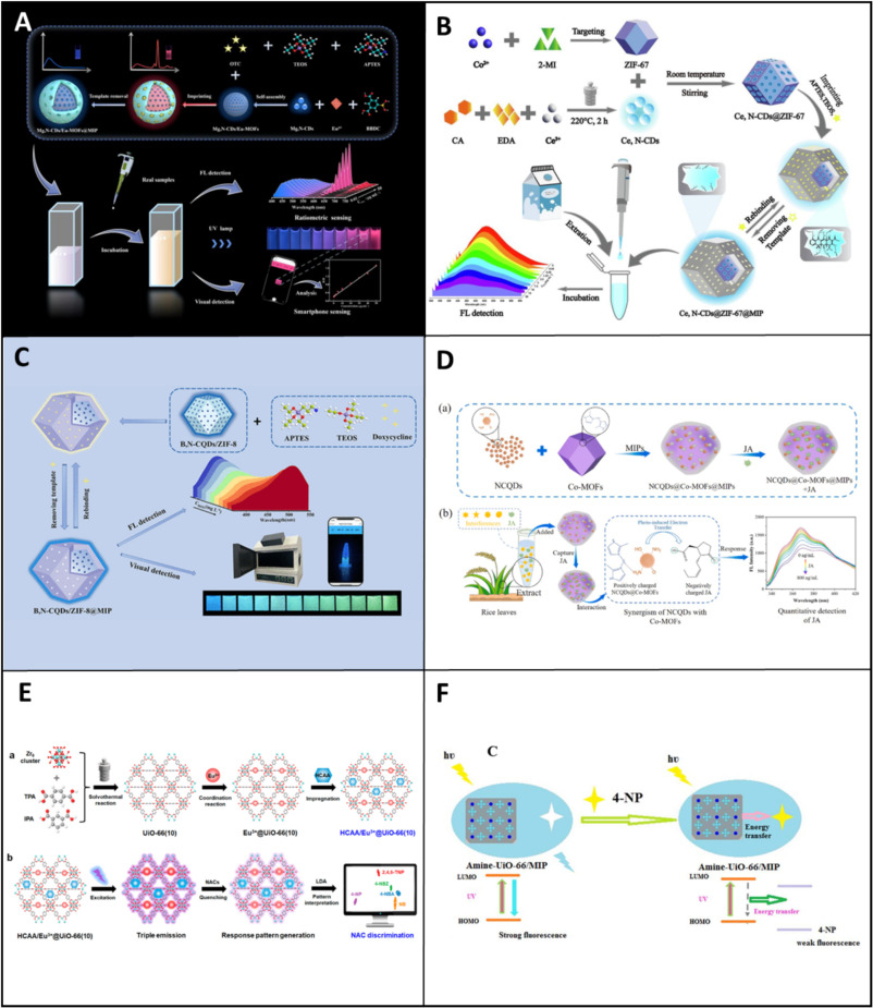 Advances and applications of metal–organic framework/molecularly