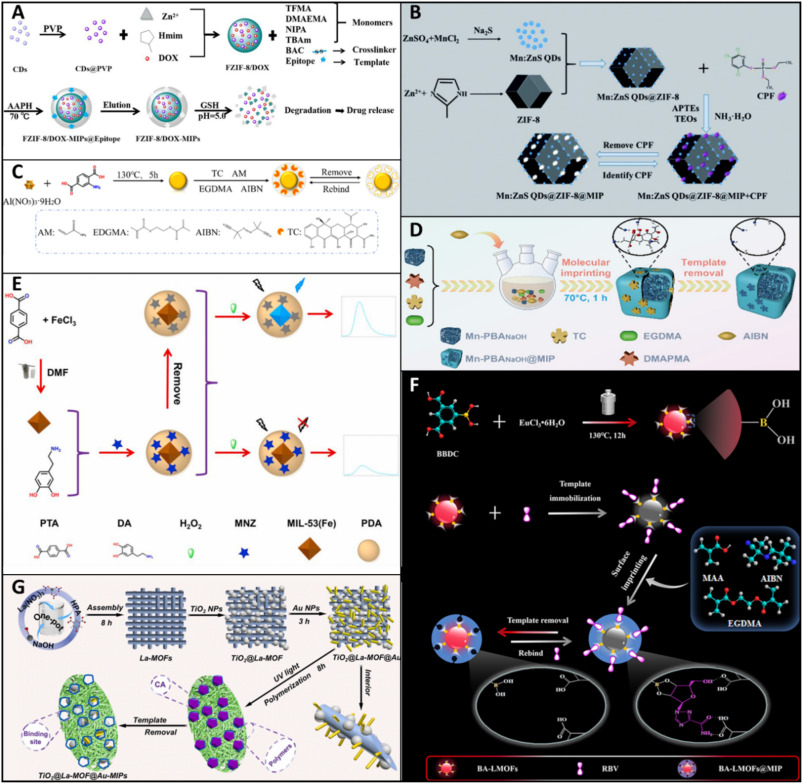 Advances and applications of metal–organic framework/molecularly