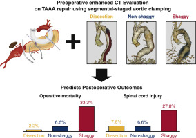 Impact of shaggy aorta on outcomes of open thoracoabdominal aortic