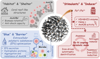 Metal-organic framework material-derived Fe-Si micro-nuclei drive