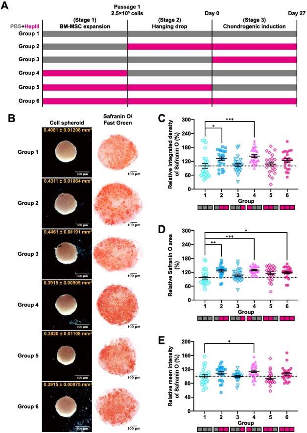 Enhancing intrinsic TGF-β signaling via heparan sulfate