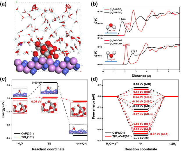 Insight into the boosted activity of TiO2–CoP composites for