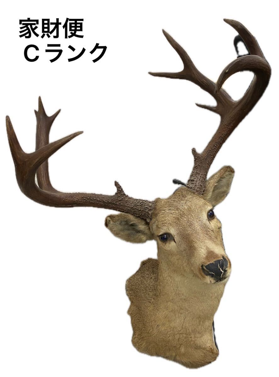 鹿の角の値段と価格推移は？｜151件の売買データから鹿の角の価値が
