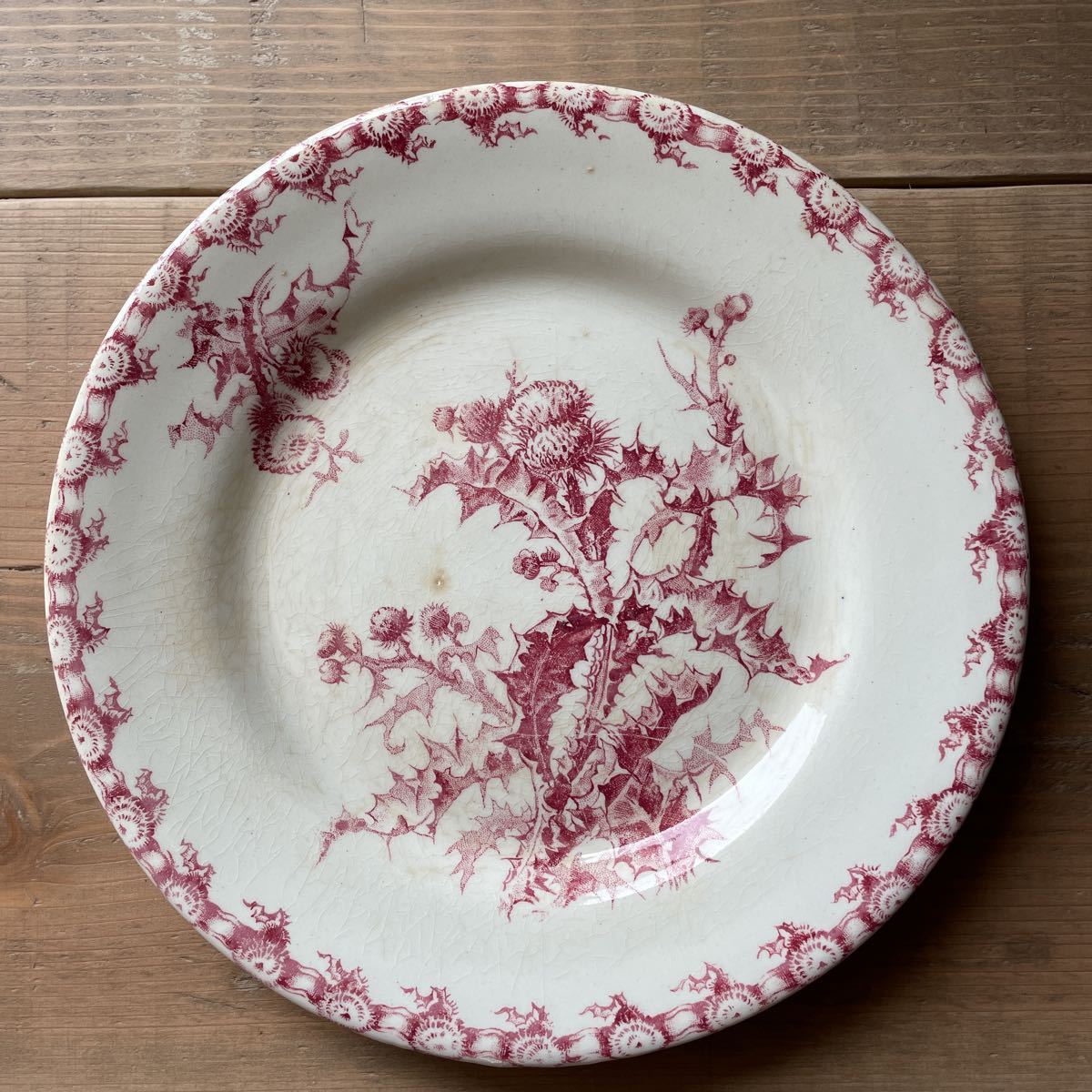 フランス アンティーク 皿 GIEN窯 CHARDONS 古いアザミの平皿プレート