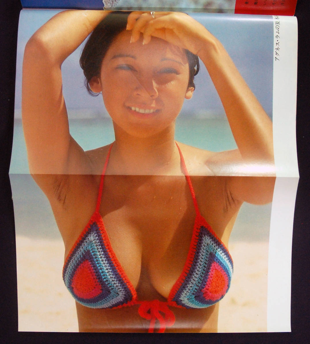 週刊プレイボーイ 1976年 32号 アグネス・ラム/志穂美悦子/フラワー