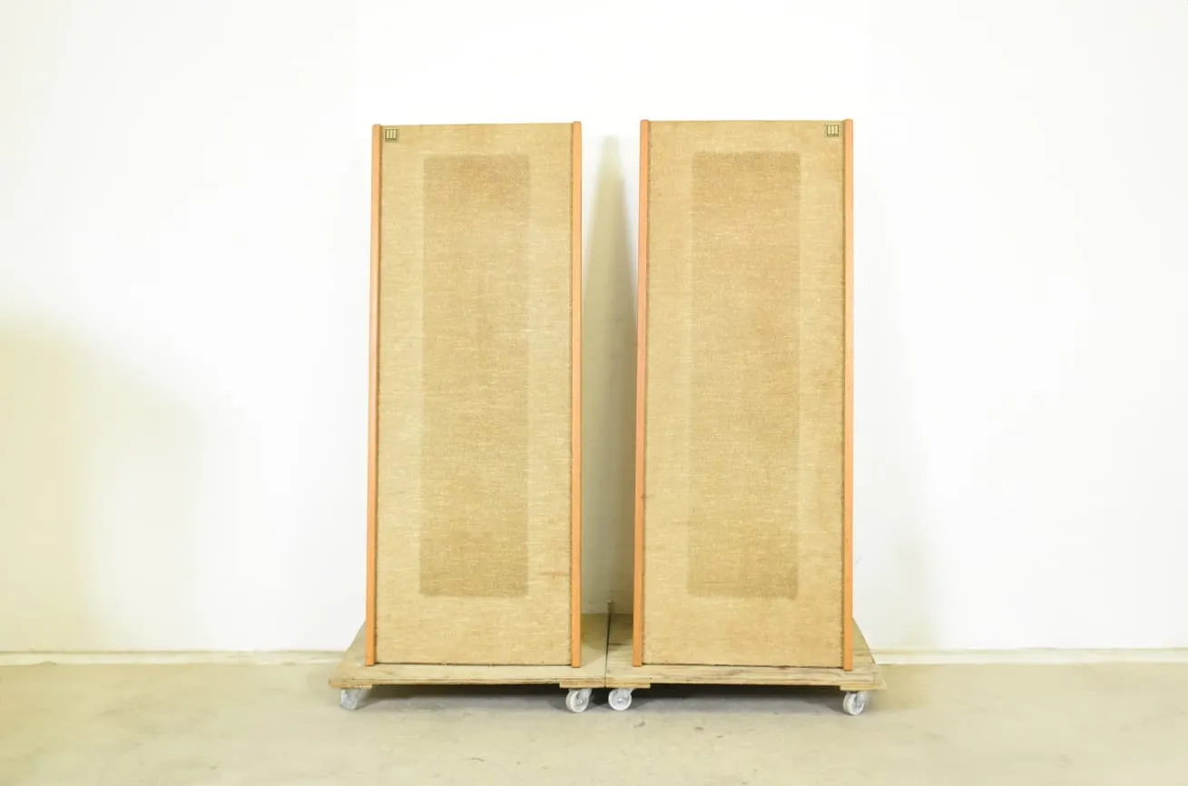 MAGNEPAN SMGa マグネパン MAGNEPLANAR 平面スピーカー ペア