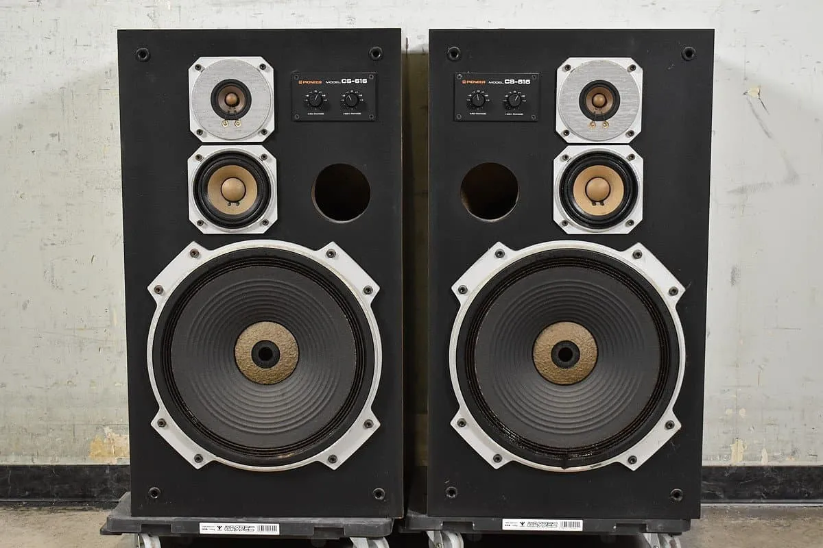 Pioneer/パイオニア スピーカーペア CS-616 | オーディオの買取屋さん