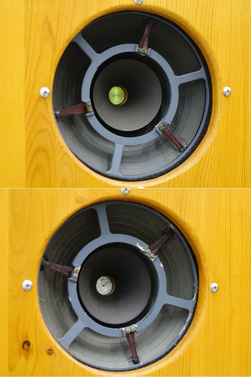 GOODMAN グッドマン AXIOM80 スピーカーユニット搭載 エンクロージャー