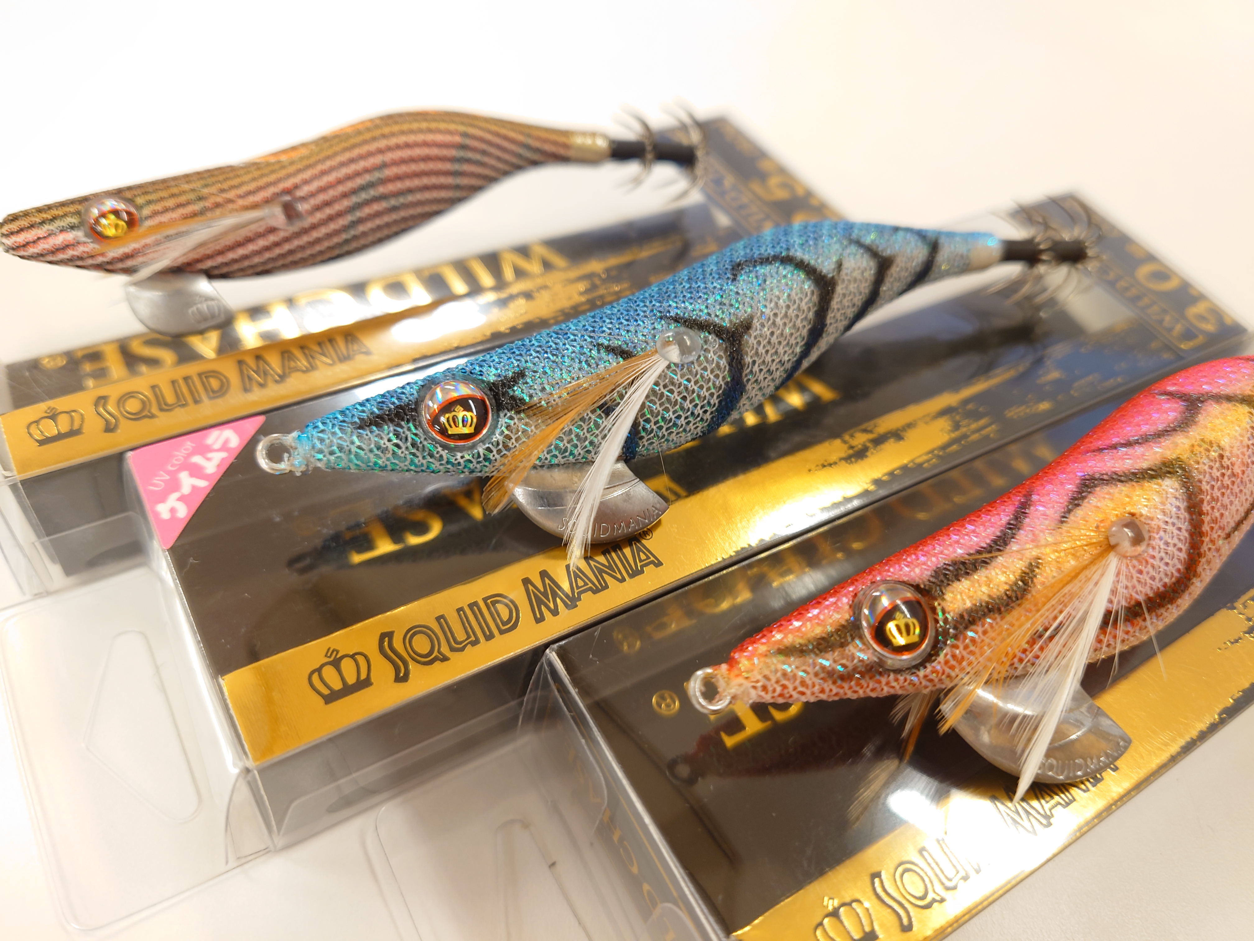 北海道初入荷！！スクイッドマニア「WILD CHASE」入荷しました